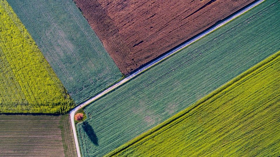 Luftbild von bunten Feldern