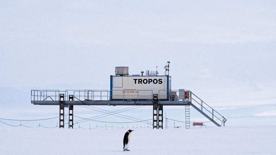 Schneelandschaft mit Container mit der Aufschrift "TROPOS", davor ein Pinguin